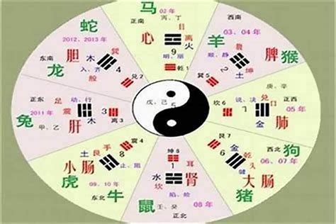 珵 五行|锟字的五行属性